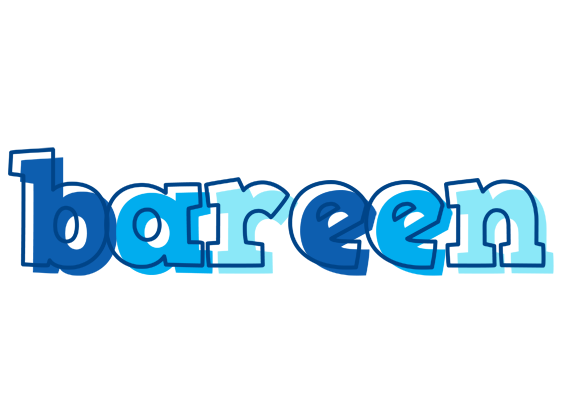 Bareen sailor logo