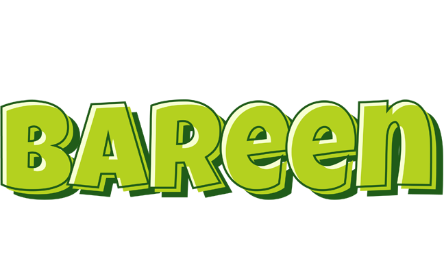 Bareen summer logo