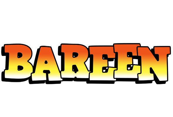 Bareen sunset logo
