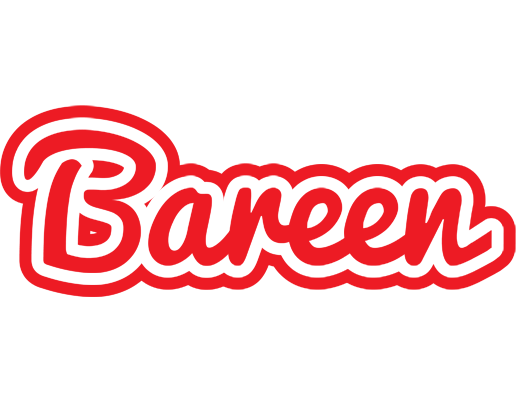 Bareen sunshine logo