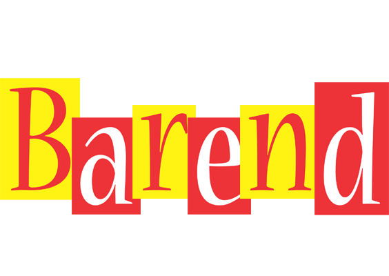 Barend errors logo