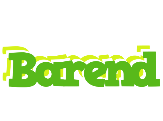 Barend picnic logo