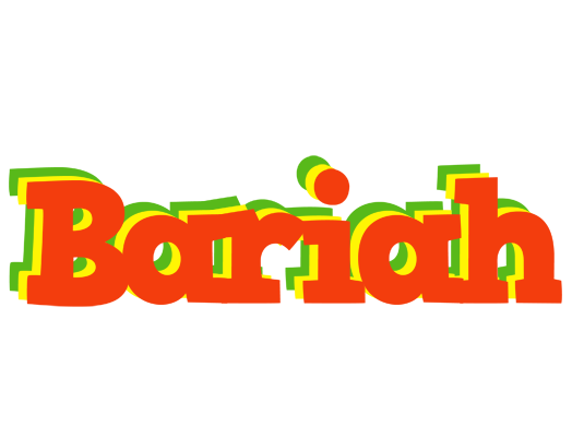 Bariah bbq logo