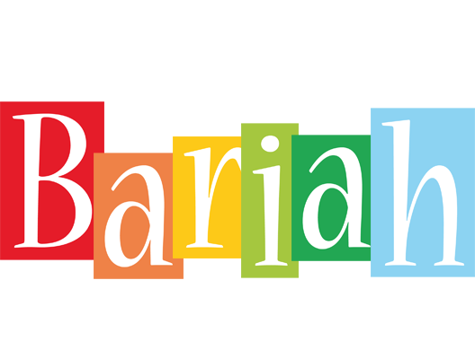 Bariah colors logo