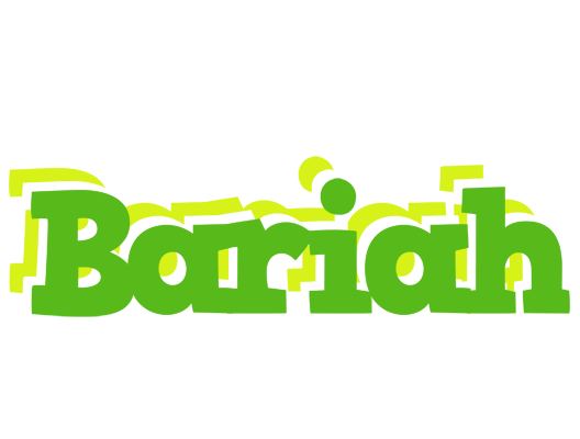 Bariah picnic logo
