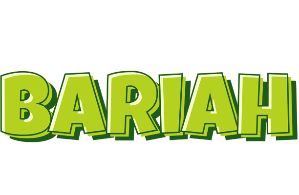Bariah summer logo