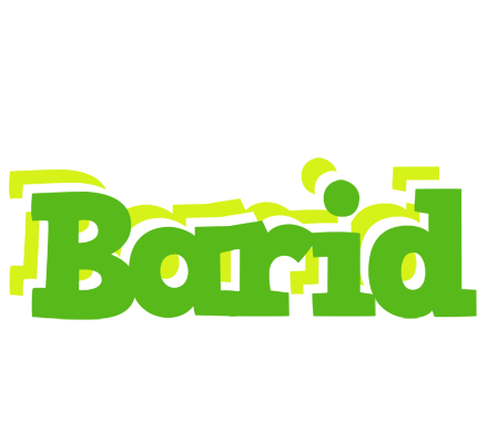 Barid picnic logo