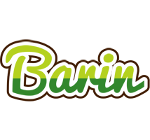 Barin golfing logo