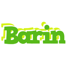 Barin picnic logo