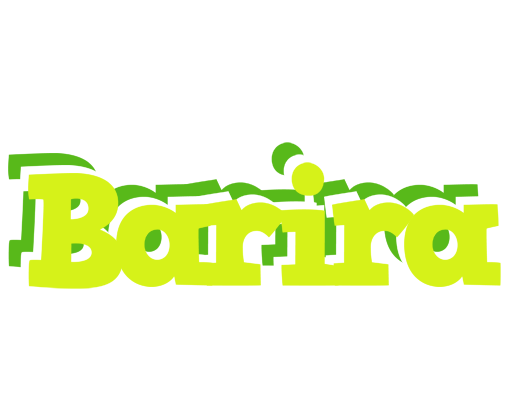 Barira citrus logo