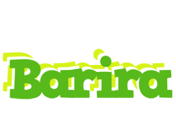 Barira picnic logo