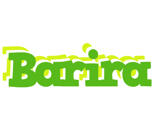 Barira picnic logo