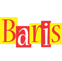 Baris errors logo