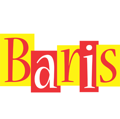 Baris errors logo