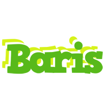 Baris picnic logo