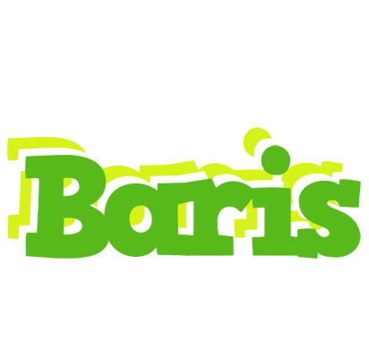 Baris picnic logo