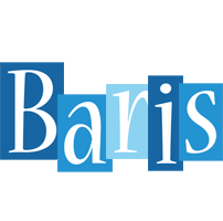 Baris winter logo