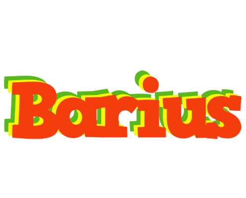 Barius bbq logo