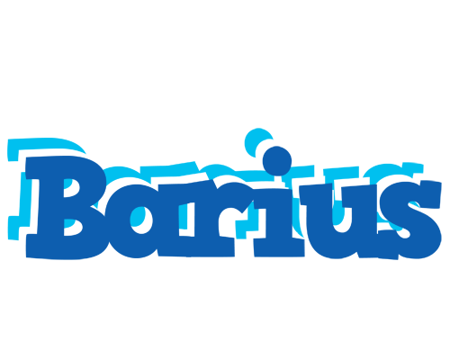 Barius business logo