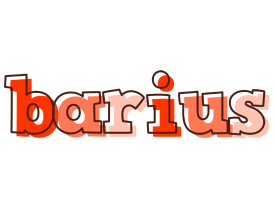 Barius paint logo