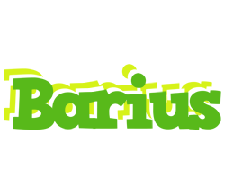 Barius picnic logo