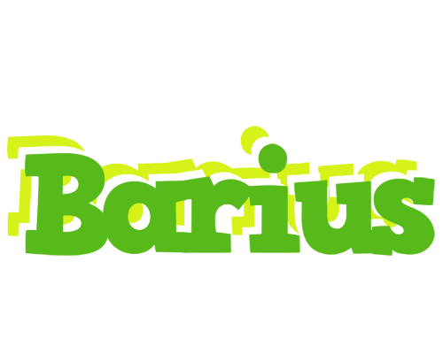 Barius picnic logo
