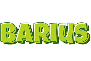Barius summer logo