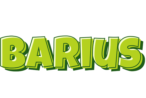 Barius summer logo