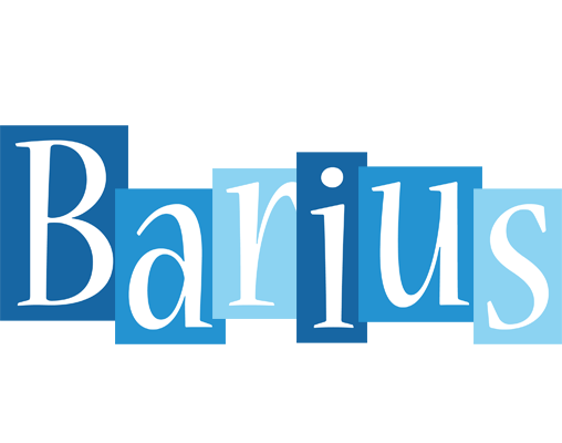 Barius winter logo