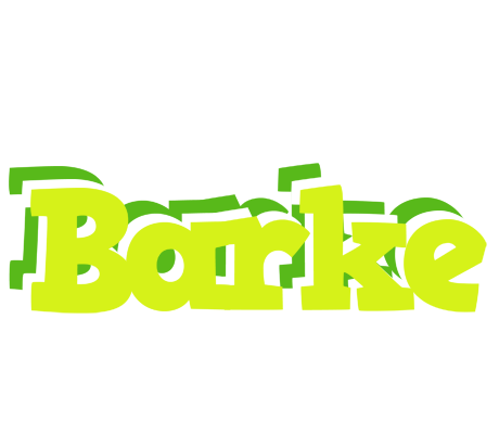 Barke citrus logo