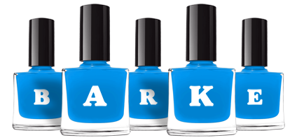 Barke glossy logo