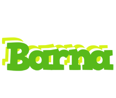 Barna picnic logo