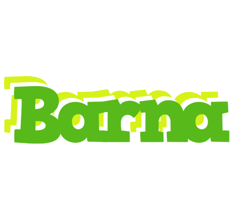 Barna picnic logo