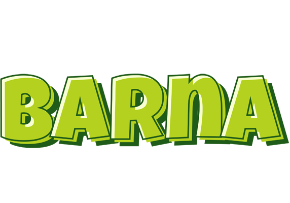 Barna summer logo