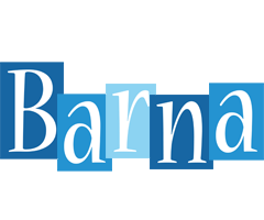 Barna winter logo