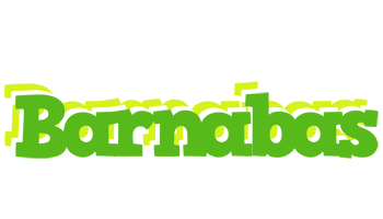 Barnabas picnic logo