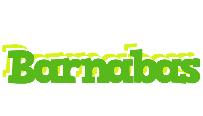 Barnabas picnic logo