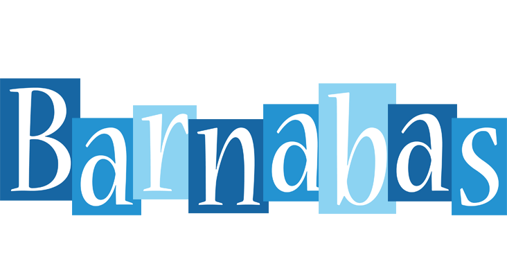Barnabas winter logo