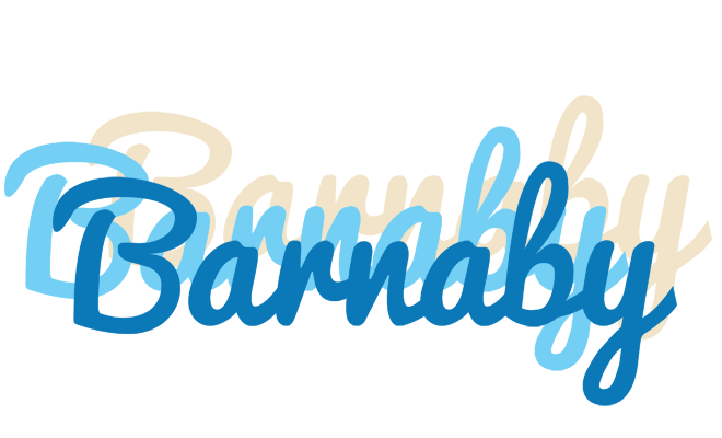 Barnaby breeze logo