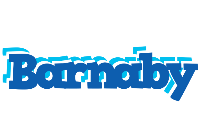 Barnaby business logo