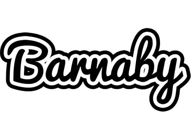 Barnaby chess logo