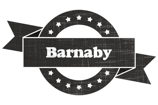 Barnaby grunge logo