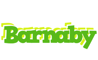 Barnaby picnic logo