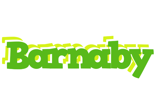Barnaby picnic logo