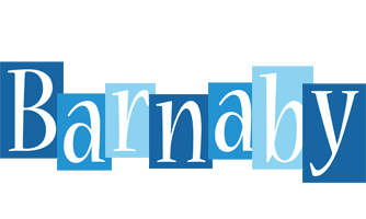 Barnaby winter logo