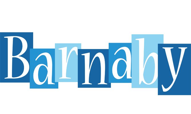 Barnaby winter logo