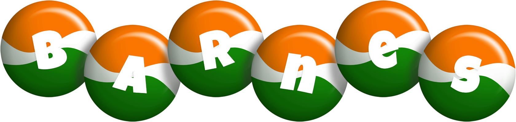 Barnes india logo
