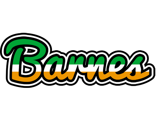 Barnes ireland logo