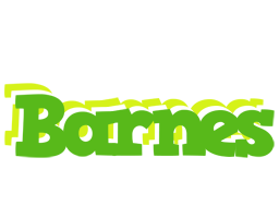 Barnes picnic logo