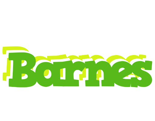 Barnes picnic logo